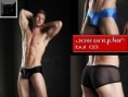 BOXER BUL 03